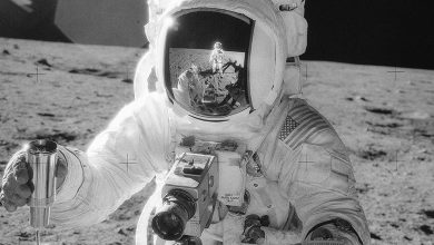 Photo of Миссия «Аполлон»: Где сейчас находятся лунные камни?
